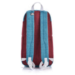 Aukstumsoma METEOR ARCTIC 10 L blue/red