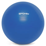 Vingrošanas bumba FITBALL 65cm BL