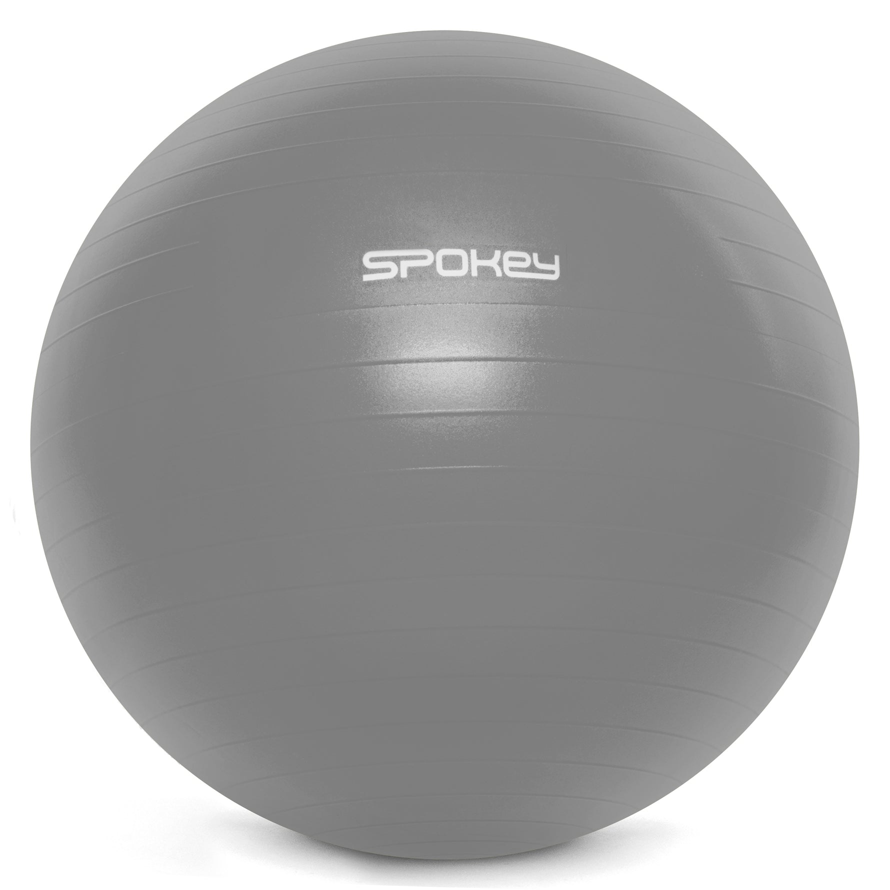 Vingrošanas bumba FITBALL 65cm GY