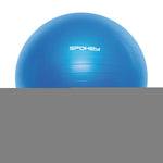 Vingrošanas bumba Fitball 55cmBL