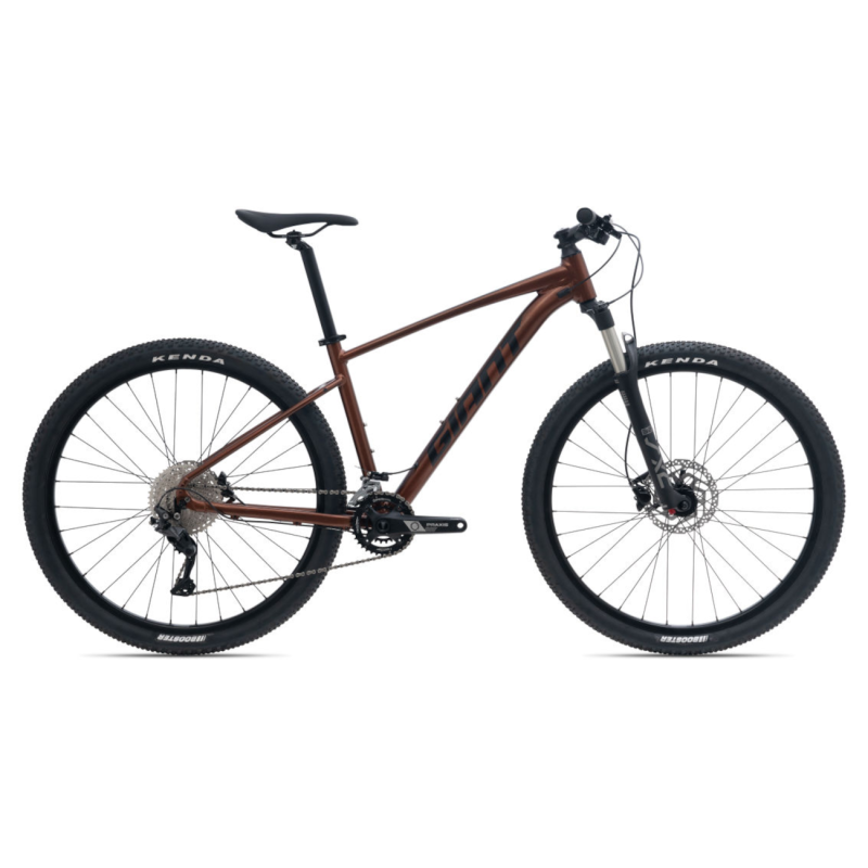 Velosipēds GIANT Talon 29 1 GE, hematīts (XL)