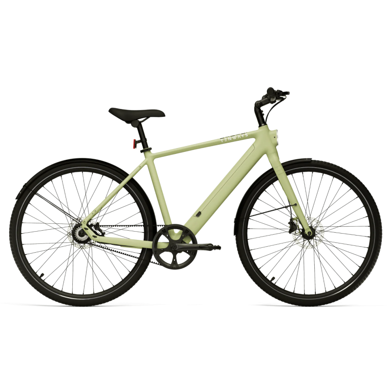 Elektriskais velosipēds TENWAYS CGO600 PRO, Avocado Green (XL)