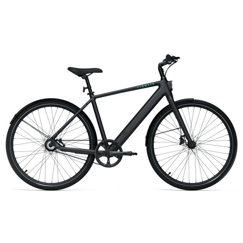 Elektriskais velosipēds TENWAYS CGO600 PRO, Midnight Black (L)