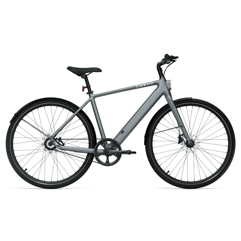 Elektrovelosipēds TENWAYS CGO600 PRO, gaiši pelēks (L)