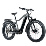 Elektriskais fatbike LEADER FOX Brasa 26": pelēks (M)