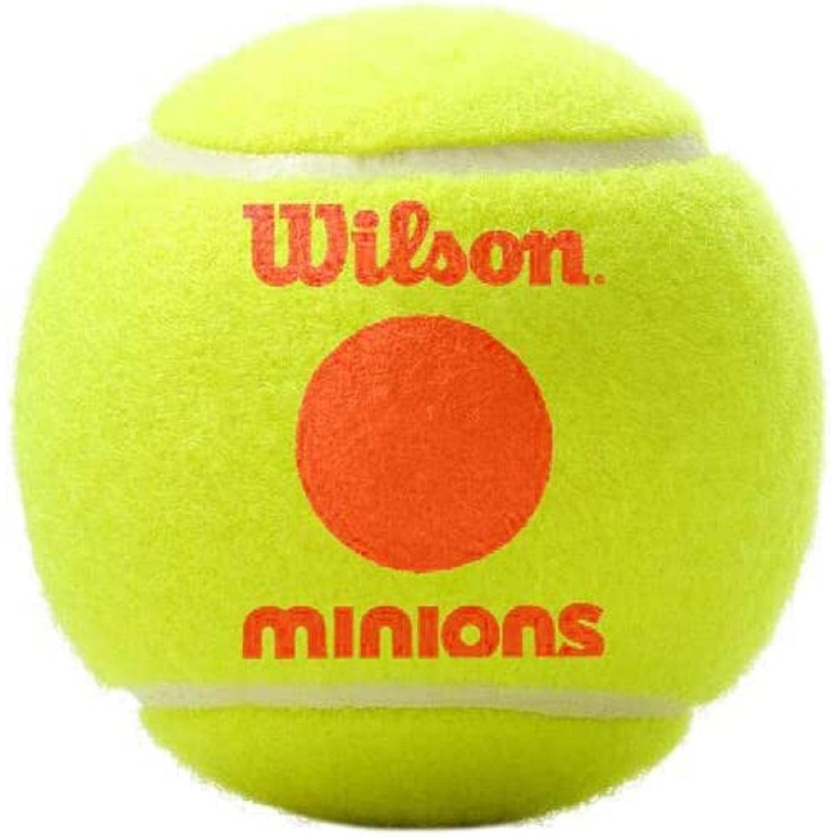 Attēla alternatīvais teksts