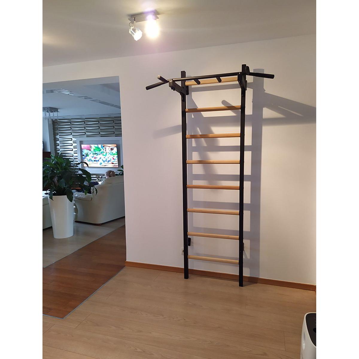 KOKA UN METĀLA VINGROŠANAS SIENA AR SOLU 221B