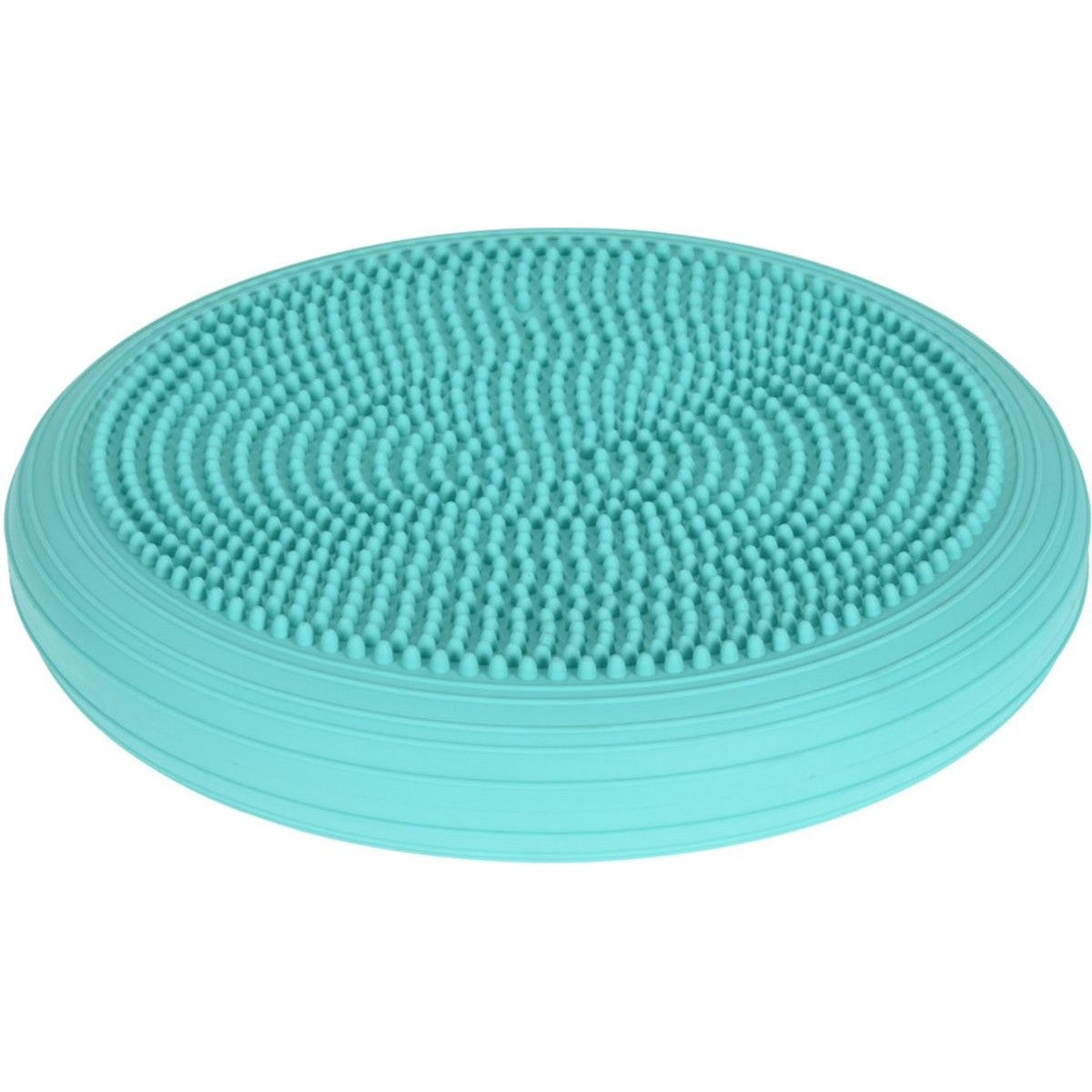 DISKU SENSOMOTORA SPILVENS AR SŪKNI 33CM MINT XQMAX