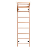 Vingrošanas siena ar regulējamu augstumu un šķērssiju BenchK 111 220x67cm