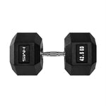 Hantele HEX PRO 42.5 KG DUMBBELL HMS