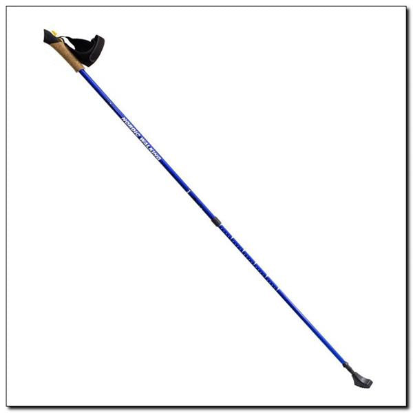 Nūjošanas nūjas NW607 BLUE NILS