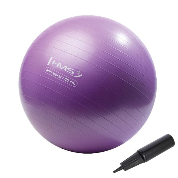 YB02N 65CM PURPURA vingrošanas zāles Bumba HMS