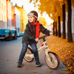 Līdzsvara velosipēds (Skrejritenis) RB138 BALANCE BIKE WHEEL 12'' NILS FUN