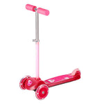 HLB001 PINK Skrejritenis NILS FUN