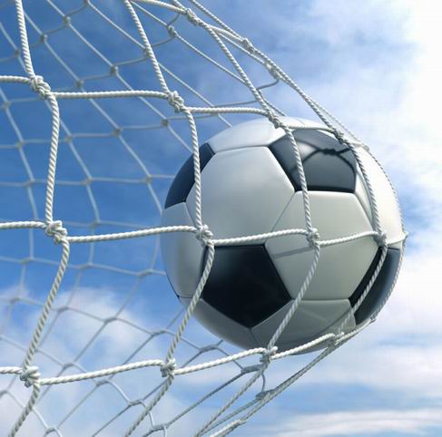 Futbola vārtu tīkls Netex 5x2x0,8x1,5m PE3mm (2gab.)