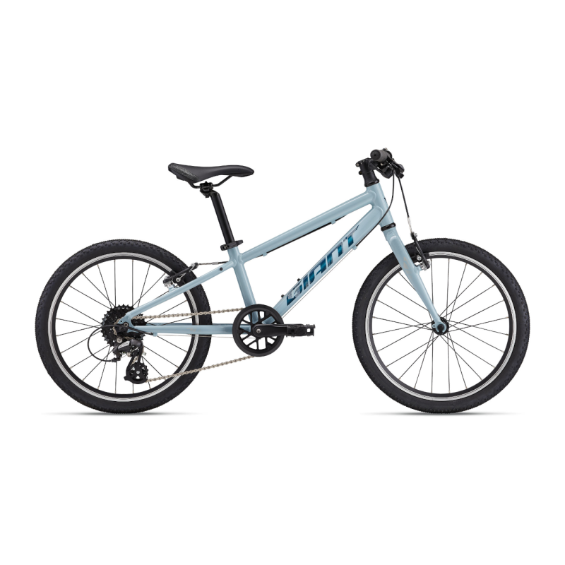 Īpaši viegls bērnu velosipēds GIANT ARX 20 (2025) Ziepju putas