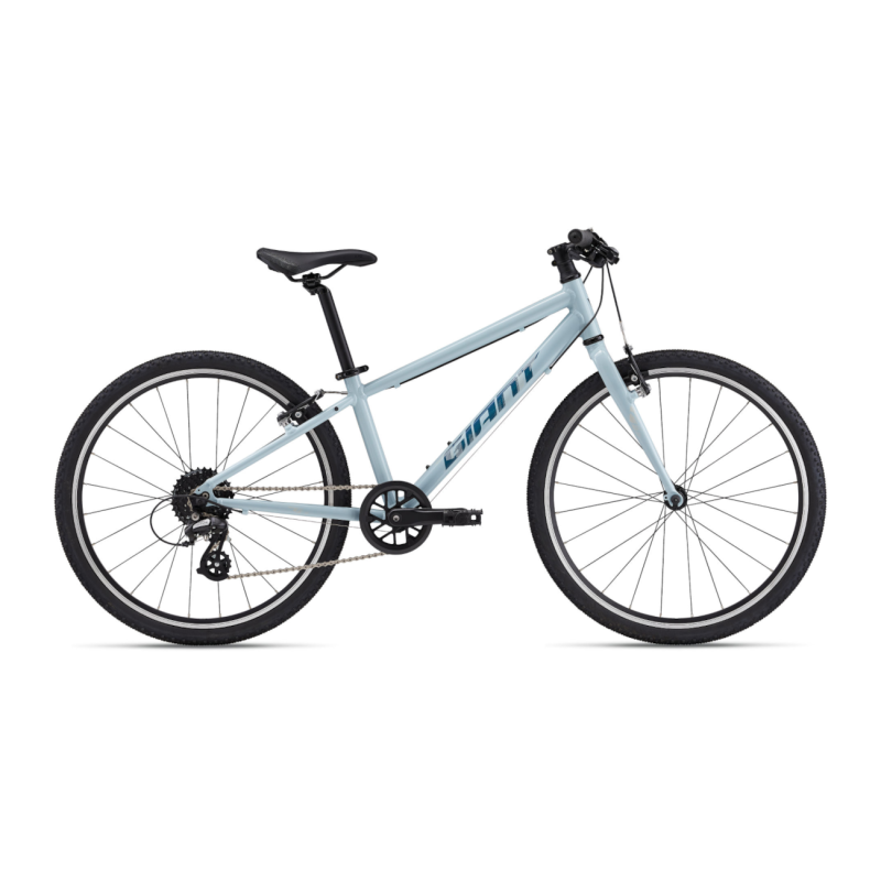 Īpaši viegls bērnu velosipēds GIANT ARX 24 (2025) Ziepju putas