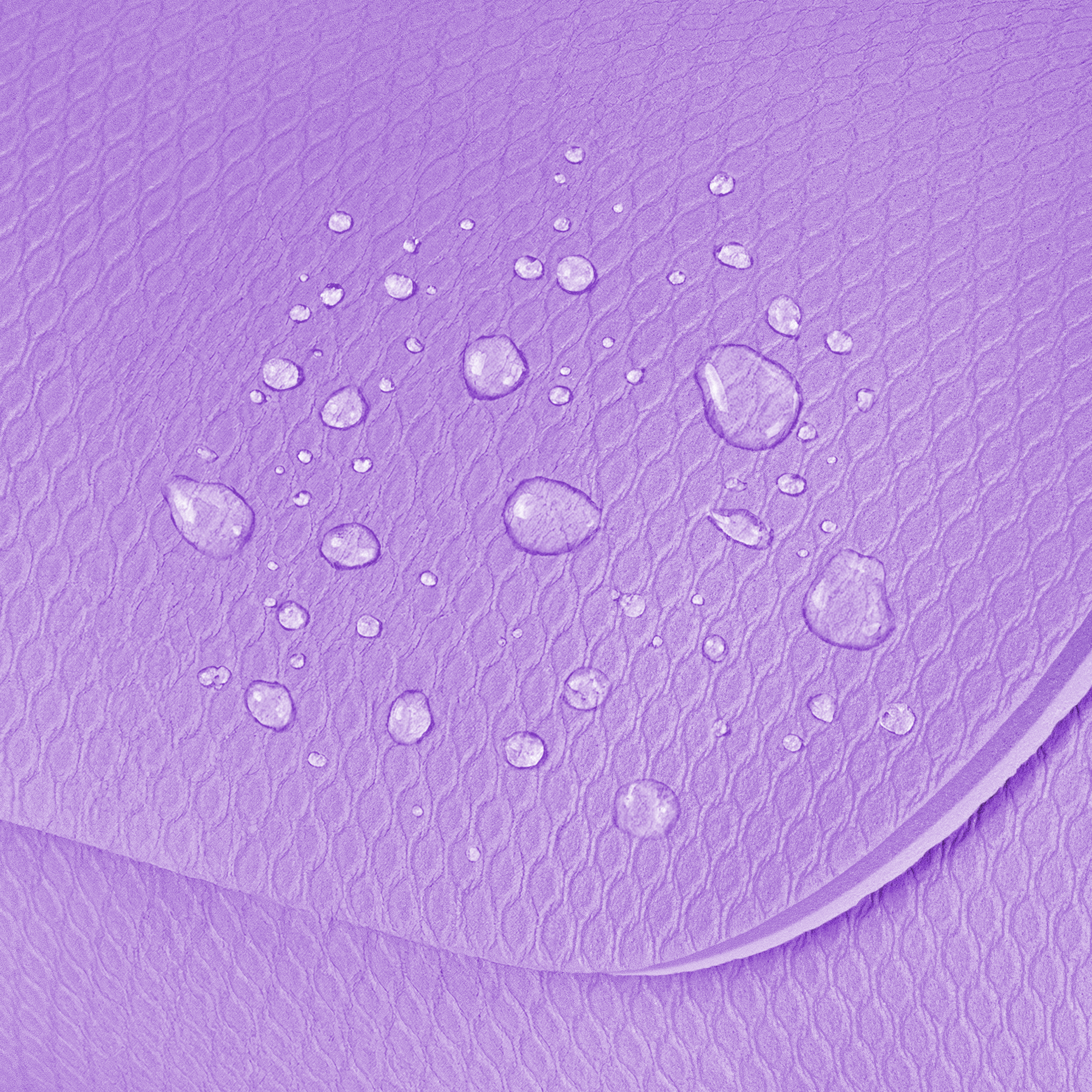 Attēla alternatīvais teksts