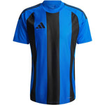 adidas svītrainais 24 krekls M IW2147