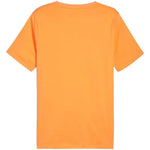 Puma Essential T-krekls M 847382 58