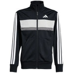 adidas Seasonal Essentials Tiberio 3-Stripes Tricot Jr treniņtērps JY0509
