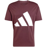adidas Essentials Big Logo T-krekls M JE8939