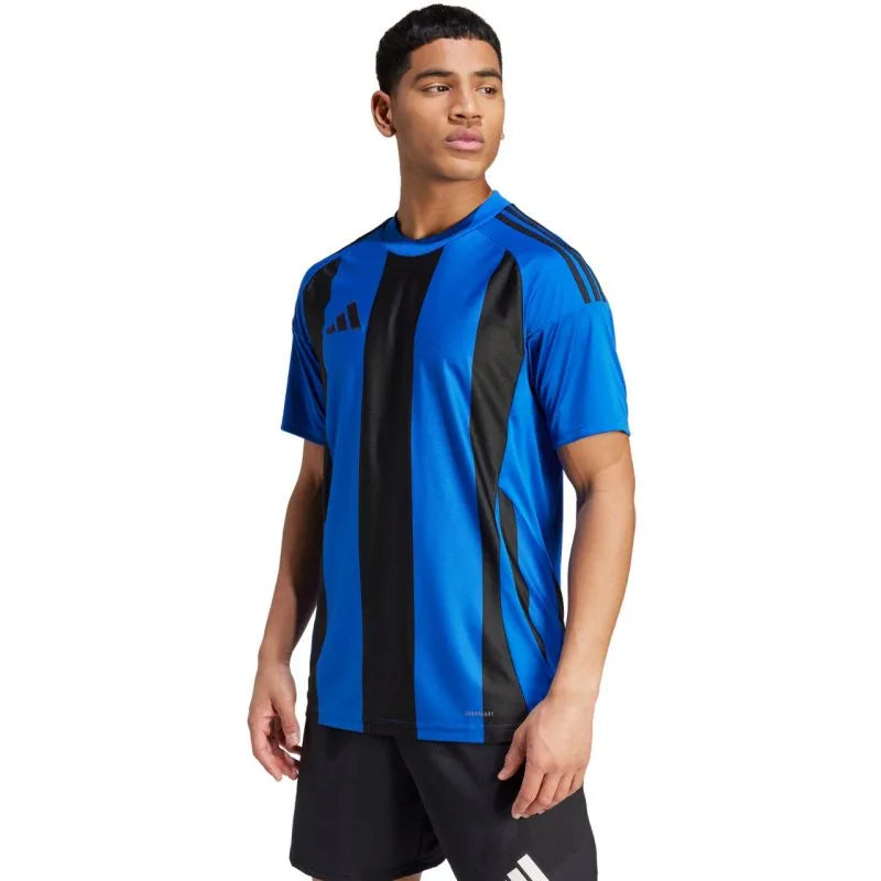 adidas svītrainais 24 krekls M IW2147