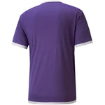 Puma teamLIGA krekls M 704917 10