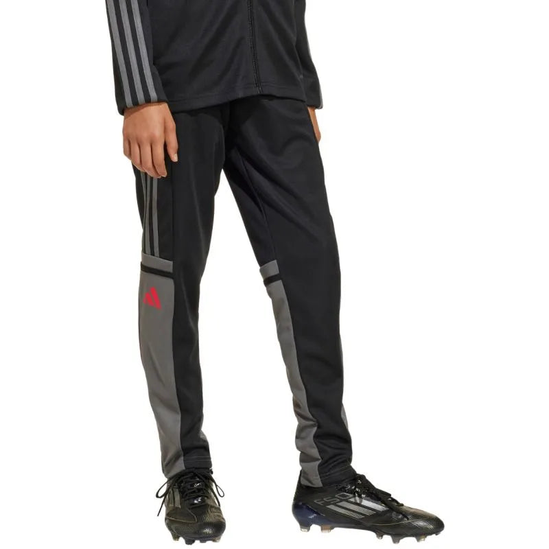 adidas Squadra 25 Training Jr Bikses JD1628