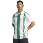 Adidas Striped 24 JSY M T-krekls vīriešiem IW2148