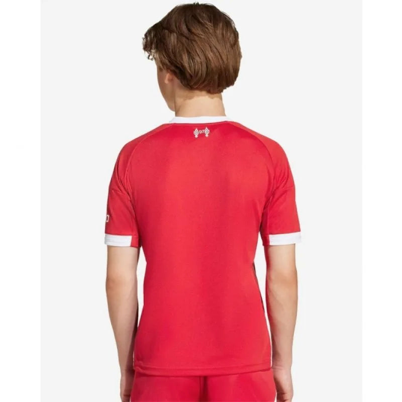 adidas Liverpool LFC Home Jr JV6436 Krekls