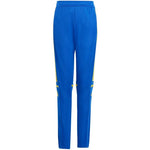 adidas Squadra 25 Training Jr Bikses JP3154