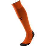 Puma Liga Core zeķes 703441 08