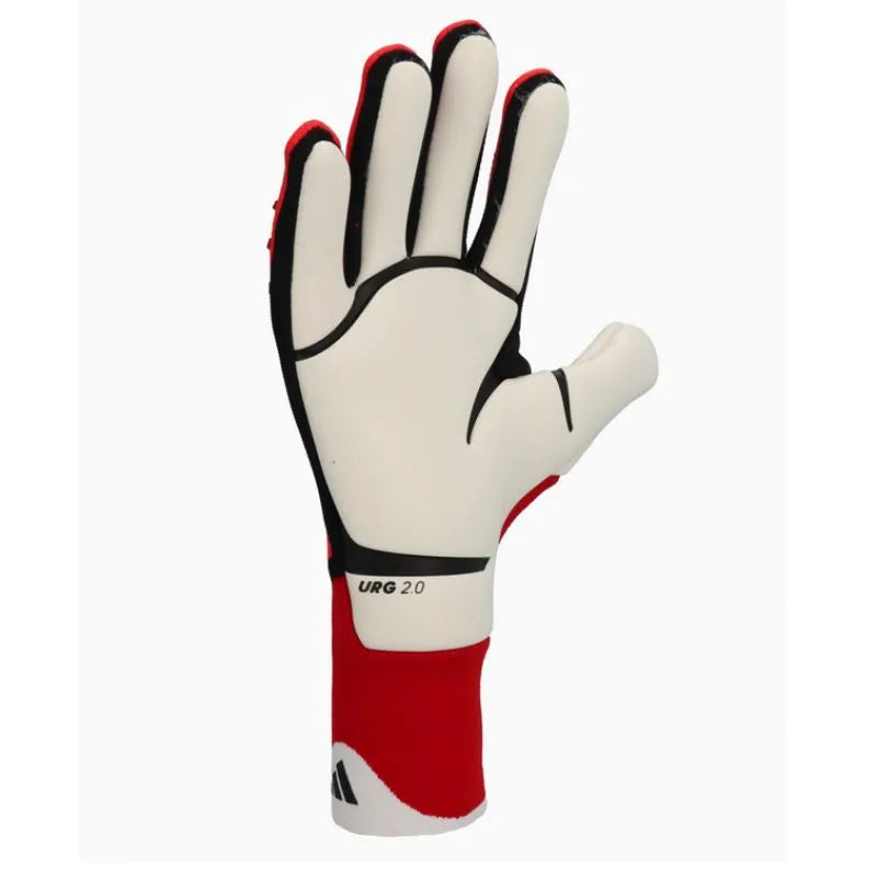 adidas Predator Pro M IW6276 vārtsarga cimdi