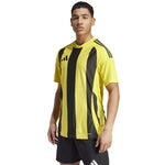 Adidas Striped 24 JSY M T-krekls vīriešiem IW2146