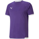 Puma teamLIGA krekls M 704917 10