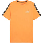Puma Essential T-krekls M 847382 58