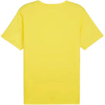 Puma futbola krekls teamRISE Matchday Jersey M 706132 07