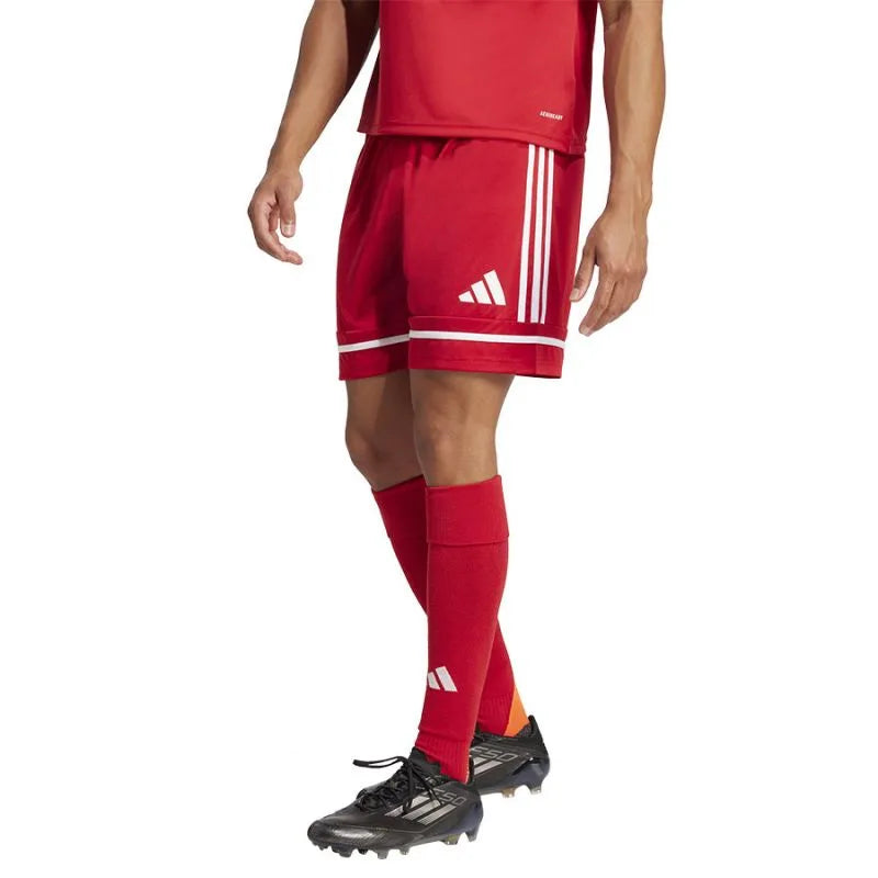 adidas Squadra M 25 Short JN5466 futbola šorti