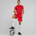 Puma teamULTIMATE vīriešu sarkanais T-krekls 705371 01