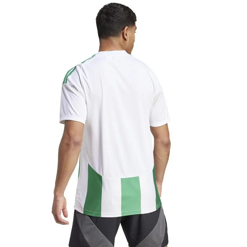 Adidas Striped 24 JSY M T-krekls vīriešiem IW2148