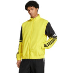 Adidas Squadra 25 Presentation M JP3385 sporta krekls