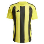 Adidas Striped 24 JSY M T-krekls vīriešiem IW2146