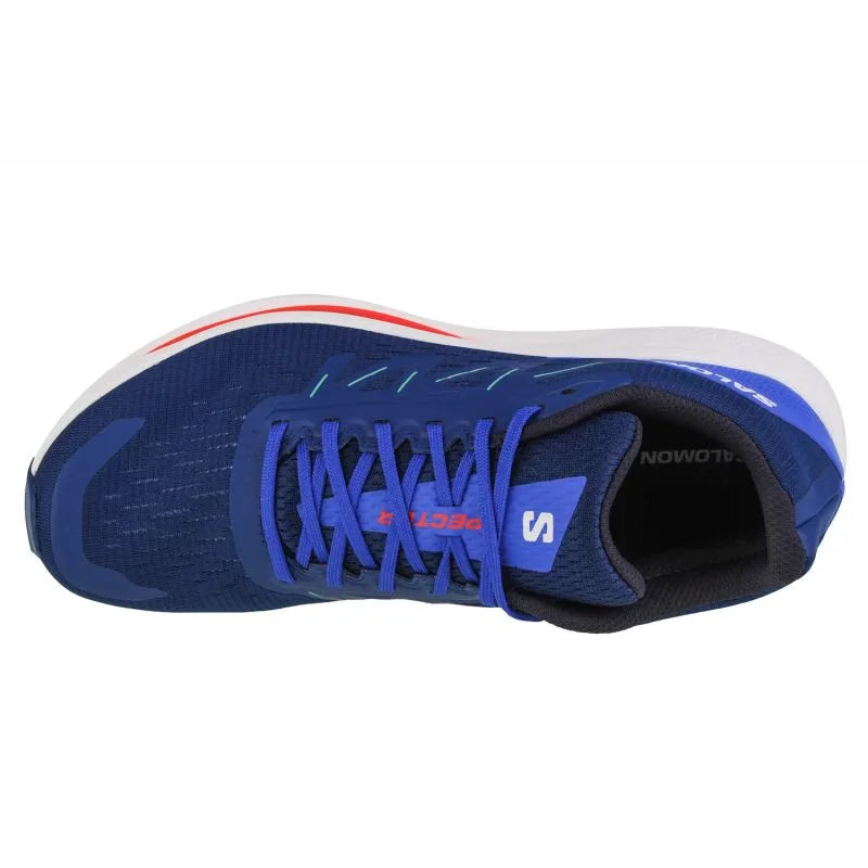Salomon Spectur M 415899 skriešanas apavi
