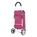 Klasiskie Premium iepirkumu ratiņi 604319
