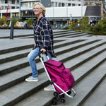 Iepirkumu ratiņi Expert Premium 604353