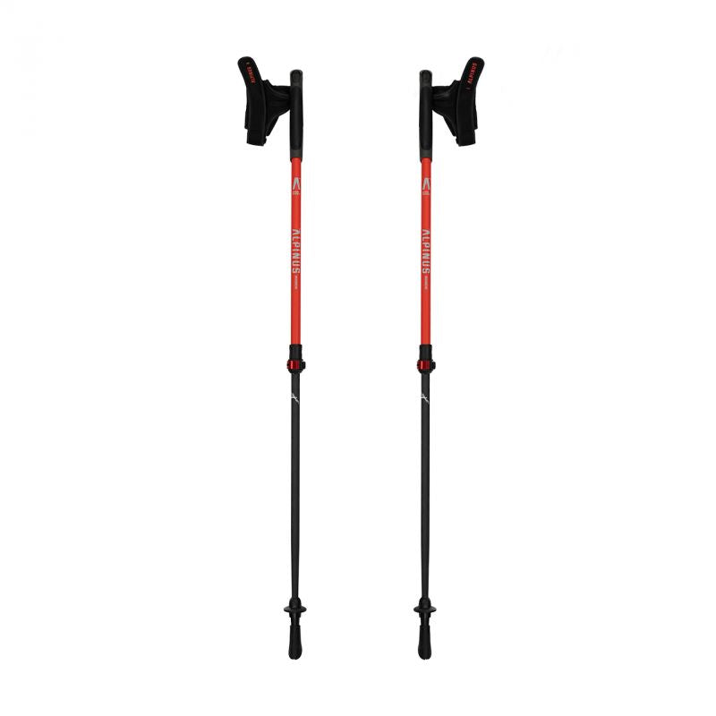 Alpinus Braunberg NX43601 nūjošanas nūjas