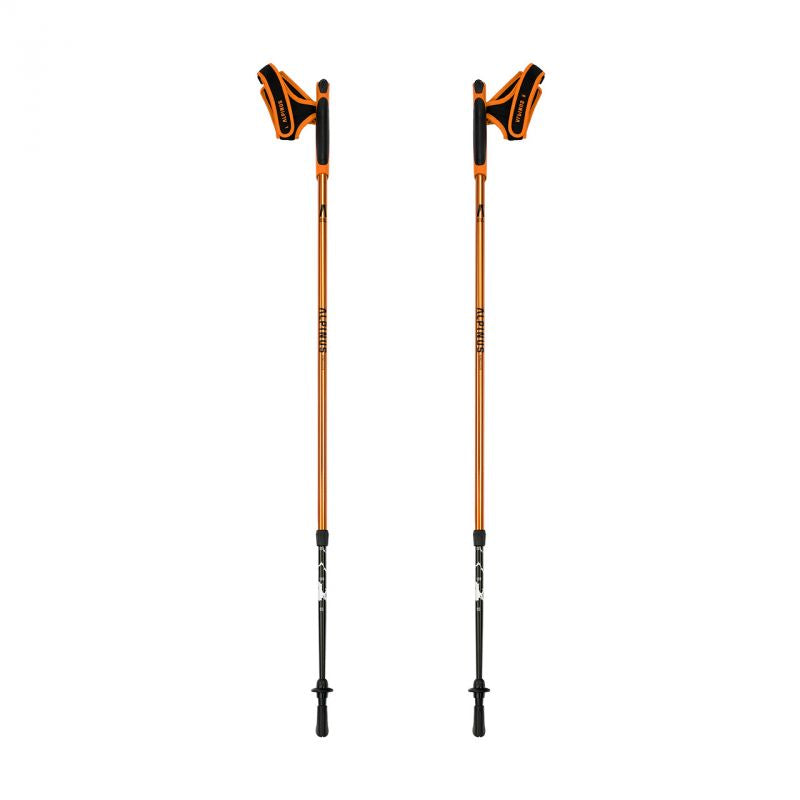 Nūjošanas nūjas Alpinus Kungsleden NX43603