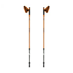 Nūjošanas nūjas Alpinus Kungsleden NX43603