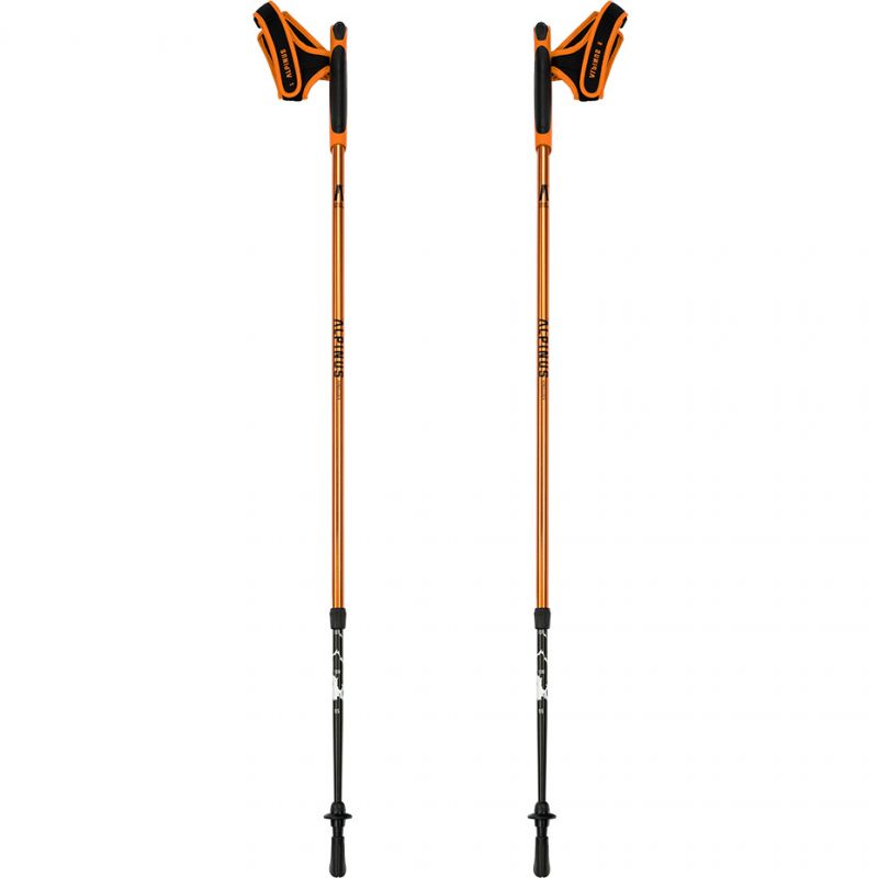 Nūjošanas nūjas Alpinus Kungsleden NX43603